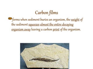 Carbon films
forms when sediment buries an organism, the weight of
the sediment squeezes almost the entire decaying
organism away leaving a carbon print of the organism.
 