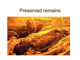 Preserved remains
 