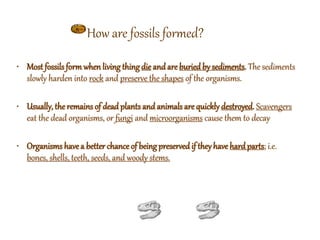 • Most fossilsform when living thing die andare buried by sediments. The sediments
slowly harden into rock and preserve the shapes of the organisms.
• Usually, the remains of dead plants and animals are quickly destroyed. Scavengers
eat the dead organisms, or fungi and microorganisms cause them to decay
• Organisms havea better chance of being preservedif theyhave hardparts; i.e.
bones, shells, teeth, seeds, and woody stems.
How are fossils formed?
 