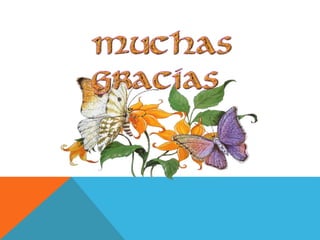 3 francisca belen ureña