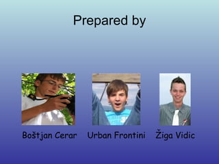 Prepared by Boštjan Cerar  Urban Frontini  Žiga Vidic 