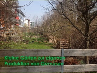 Kleine Gärten zur eigenen
Produktion von Gemüsen
 