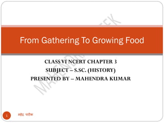 CLASSVI NCERT CHAPTER 3
SUBJECT – S.SC. (HISTORY)
PRESENTED BY – MAHENDRA KUMAR
महेंद्र पारीक1
From Gathering To Growing Food
 