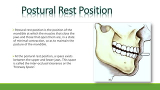 Postural rest position is the position of the
mandible at which the muscles that close the
jaws and those that open them are, in a state
of minimal contraction, so as to maintain the
posture of the mandible.
At the postural rest position, a space exists
between the upper and lower jaws. This space
is called the inter-occlusal clearance or the
‘freeway Space’.
 