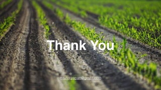 Thank You
mtufekyapan@gmail.com
 