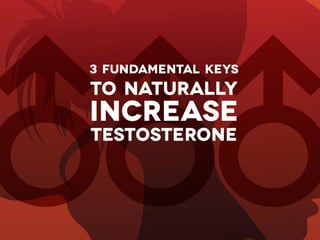 3 Fundamental Keys to Naturally Increase Your Testosterone