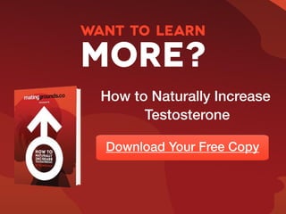 3 Fundamental Keys to Naturally Increase Your Testosterone