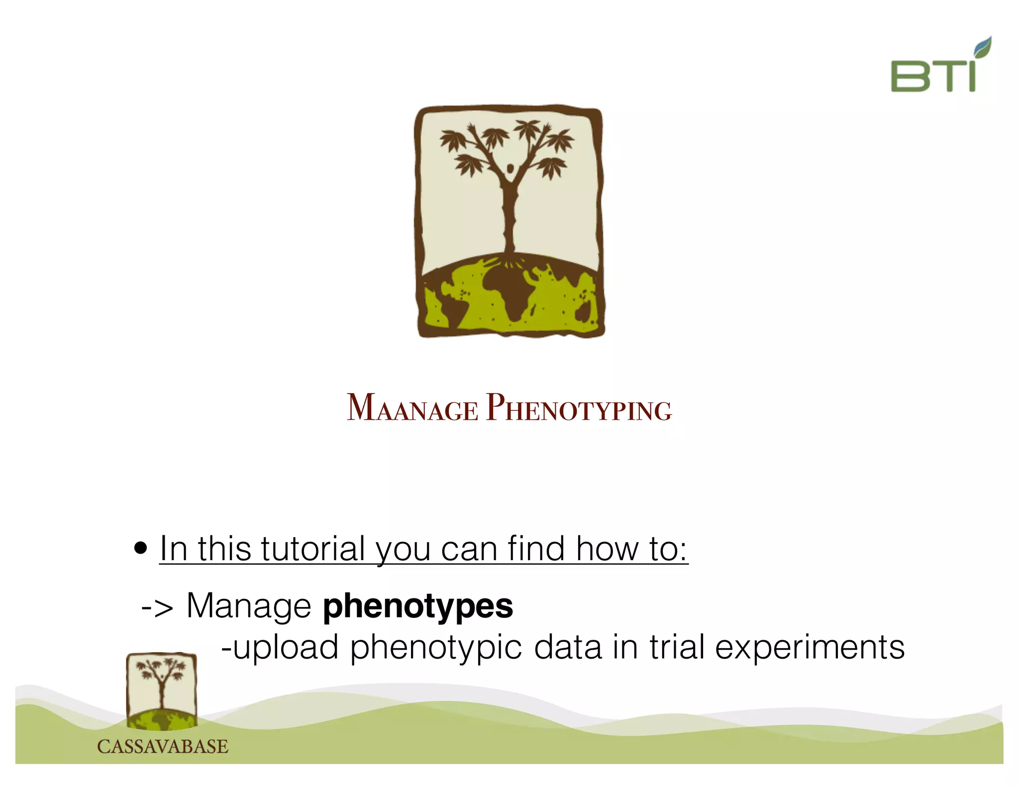 Maanage Phenotyping
-> Manage phenotypes
-upload phenotypic data in trial experiments
• In this tutorial you can find how to: