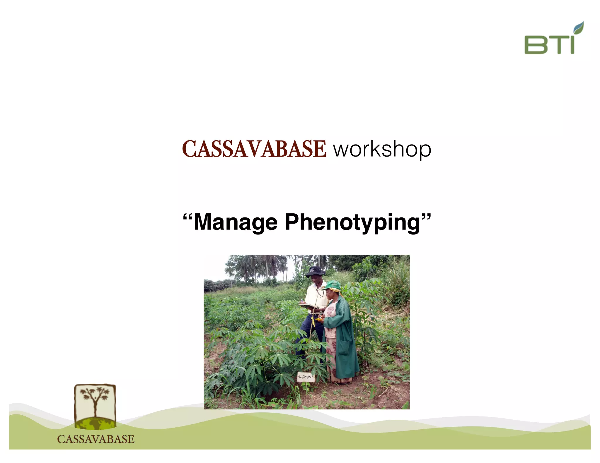 CASSAVABASE workshop
“Manage Phenotyping”