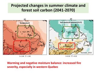 Quantifying Terrestrial Ecosystem Carbon Stocks For Future GHG quantifying-terrestrial-ecosystem-carbon-stocks-for-future-ghg