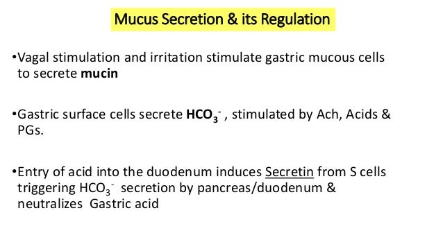 3 A Gastric Secretion And Its Regulation