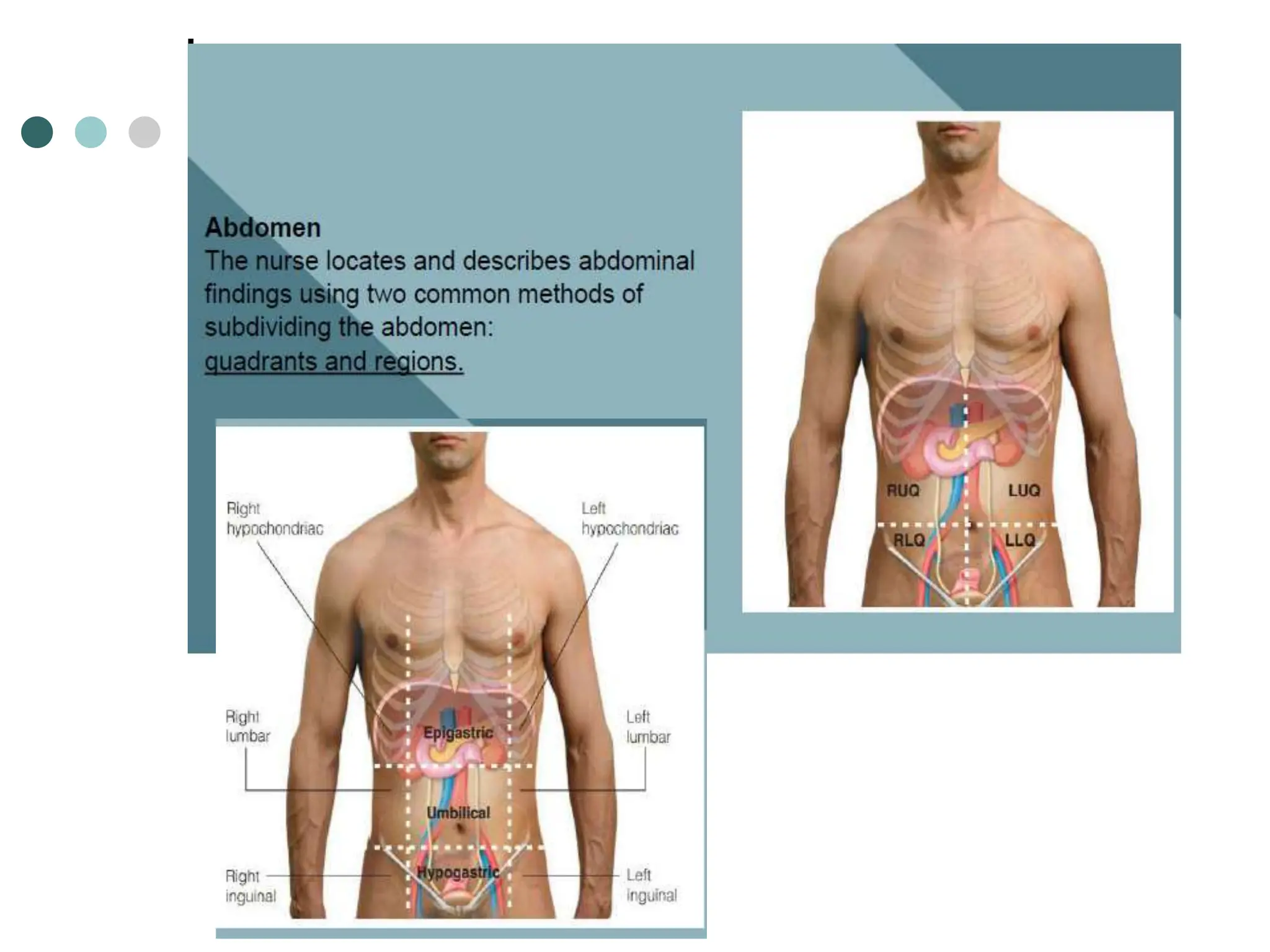 assessment-of-the-abdomen-inspection-auscultation-percussion