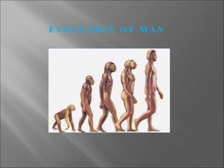 EVOLUTION OF MAN 