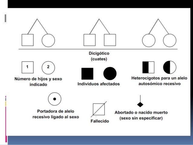 A la muchacha del miembro poco de hombre