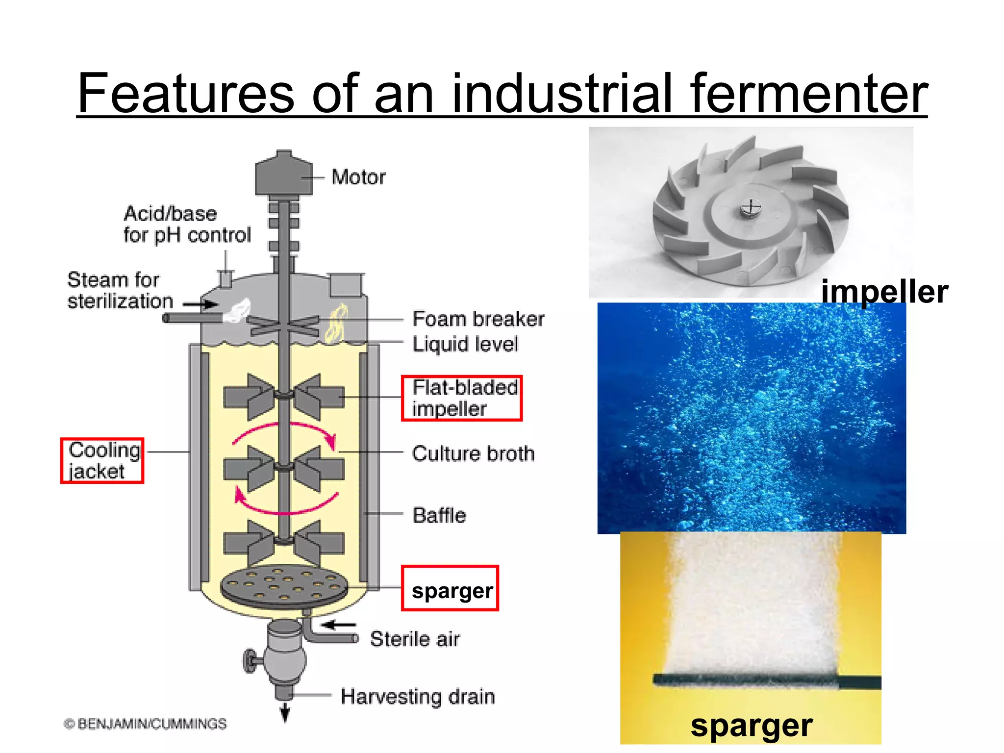 Features of an industrial fermenter sparger sparger impeller 