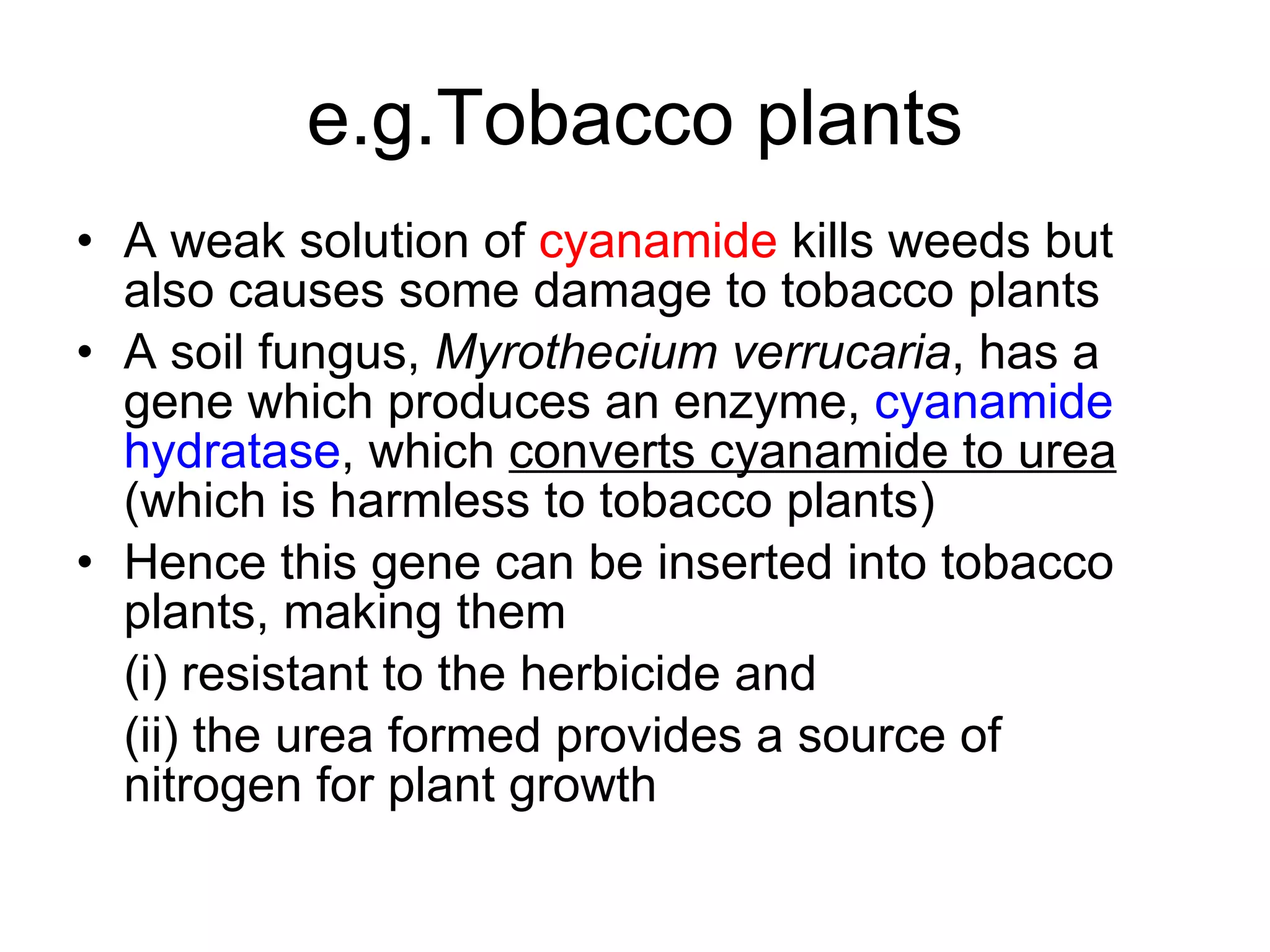 e.g.Tobacco plants A weak solution of  cyanamide  kills weeds but also causes some damage to tobacco plants A soil fungus,  Myrothecium verrucaria , has a gene which produces an enzyme,  cyanamide hydratase , which  converts cyanamide to urea  (which is harmless to tobacco plants) Hence this gene can be inserted into tobacco plants, making them (i) resistant to the herbicide and  (ii) the urea formed provides a source of  nitrogen for plant growth 