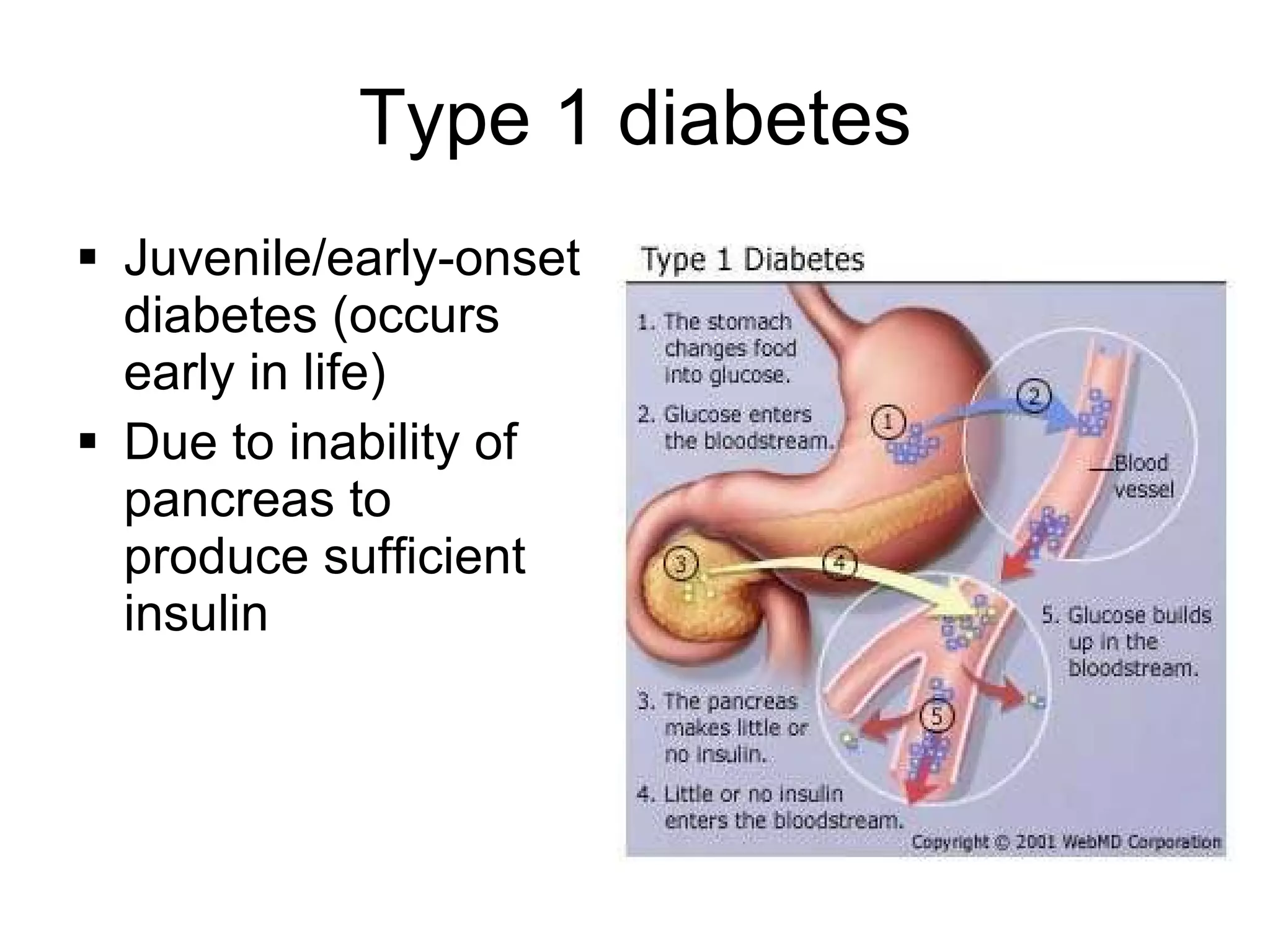 Type 1 diabetes Juvenile/early-onset diabetes (occurs early in life) Due to inability of pancreas to produce sufficient insulin 
