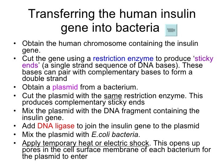 Chapter 20 Molecular Lesson 3 Engineering