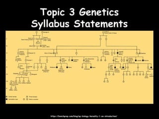 Topic 3 GeneticsTopic 3 Genetics
Syllabus StatementsSyllabus Statements
https://benchprep.com/blog/ap-biology-heredity-1-an-introduction/https://benchprep.com/blog/ap-biology-heredity-1-an-introduction/
 