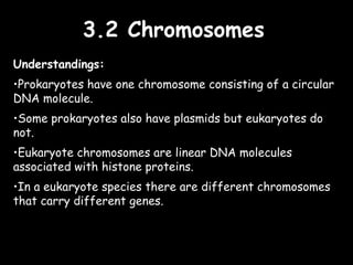 3.2 Chromosomes3.2 Chromosomes
Understandings:
•Prokaryotes have one chromosome consisting of a circular
DNA molecule.
•Some prokaryotes also have plasmids but eukaryotes do
not.
•Eukaryote chromosomes are linear DNA molecules
associated with histone proteins.
•In a eukaryote species there are different chromosomes
that carry different genes.
 