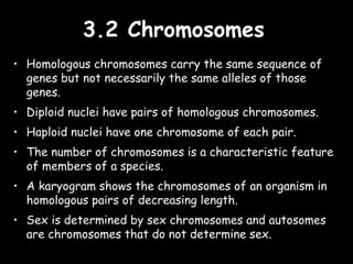 3.2 Chromosomes3.2 Chromosomes
• Homologous chromosomes carry the same sequence of
genes but not necessarily the same alleles of those
genes.
• Diploid nuclei have pairs of homologous chromosomes.
• Haploid nuclei have one chromosome of each pair.
• The number of chromosomes is a characteristic feature
of members of a species.
• A karyogram shows the chromosomes of an organism in
homologous pairs of decreasing length.
• Sex is determined by sex chromosomes and autosomes
are chromosomes that do not determine sex.
 