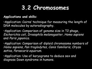 3.2 Chromosomes3.2 Chromosomes
Applications and skills:
•Application: Cairns’ technique for measuring the length of
DNA molecules by autoradiography.
•Application: Comparison of genome size in T2 phage,
Escherichia coli, Drosophila melanogaster, Homo sapiens
and Paris japonica.
•Application: Comparison of diploid chromosome numbers of
Homo sapiens, Pan troglodytes, Canis familiaris, Oryza
sativa, Parascaris equorum.
•Application: Use of karyograms to deduce sex and
diagnose Down syndrome in humans.
 