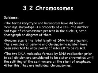 3.2 Chromosomes3.2 Chromosomes
Guidance:
•The terms karyotype and karyogram have different
meanings. Karyotype is a property of a cell—the number
and type of chromosomes present in the nucleus, not a
photograph or diagram of them.
•Genome size is the total length of DNA in an organism.
The examples of genome and chromosome number have
been selected to allow points of interest to be raised.
•The two DNA molecules formed by DNA replication prior
to cell division are considered to be sister chromatids until
the splitting of the centromere at the start of anaphase.
After this, they are individual chromosomes.
 