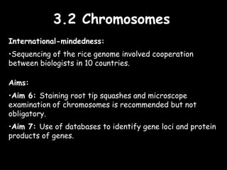 3.2 Chromosomes3.2 Chromosomes
International-mindedness:
•Sequencing of the rice genome involved cooperation
between biologists in 10 countries.
Aims:
•Aim 6: Staining root tip squashes and microscope
examination of chromosomes is recommended but not
obligatory.
•Aim 7: Use of databases to identify gene loci and protein
products of genes.
 