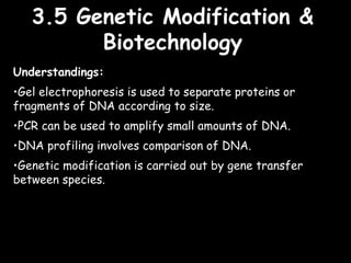 3.5 Genetic Modification &3.5 Genetic Modification &
BiotechnologyBiotechnology
Understandings:
•Gel electrophoresis is used to separate proteins or
fragments of DNA according to size.
•PCR can be used to amplify small amounts of DNA.
•DNA profiling involves comparison of DNA.
•Genetic modification is carried out by gene transfer
between species.
 