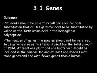 3.1 Genes3.1 Genes
Guidance:
•Students should be able to recall one specific base
substitution that causes glutamic acid to be substituted by
valine as the sixth amino acid in the hemoglobin
polypeptide.
•The number of genes in a species should not be referred
to as genome size as this term is used for the total amount
of DNA. At least one plant and one bacterium should be
included in the comparison and at least one species with
more genes and one with fewer genes than a human.
 
