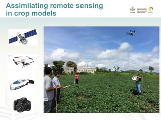 Getting farmers insured: progress and gaps