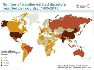 Getting farmers insured: progress and gaps