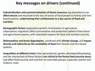 Drivers of Change in the Context of Forests and Food Security and Macro-Level response options