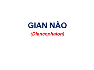 GIAN NÃO
(Diancephalon)
1
 