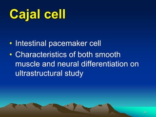 Intestinal Pacemaker GIST (Gastrointestinal Stromal Tumor).ppt