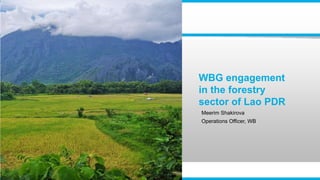 WBG engagement
in the forestry
sector of Lao PDR
Meerim Shakirova
Operations Officer, WB
 