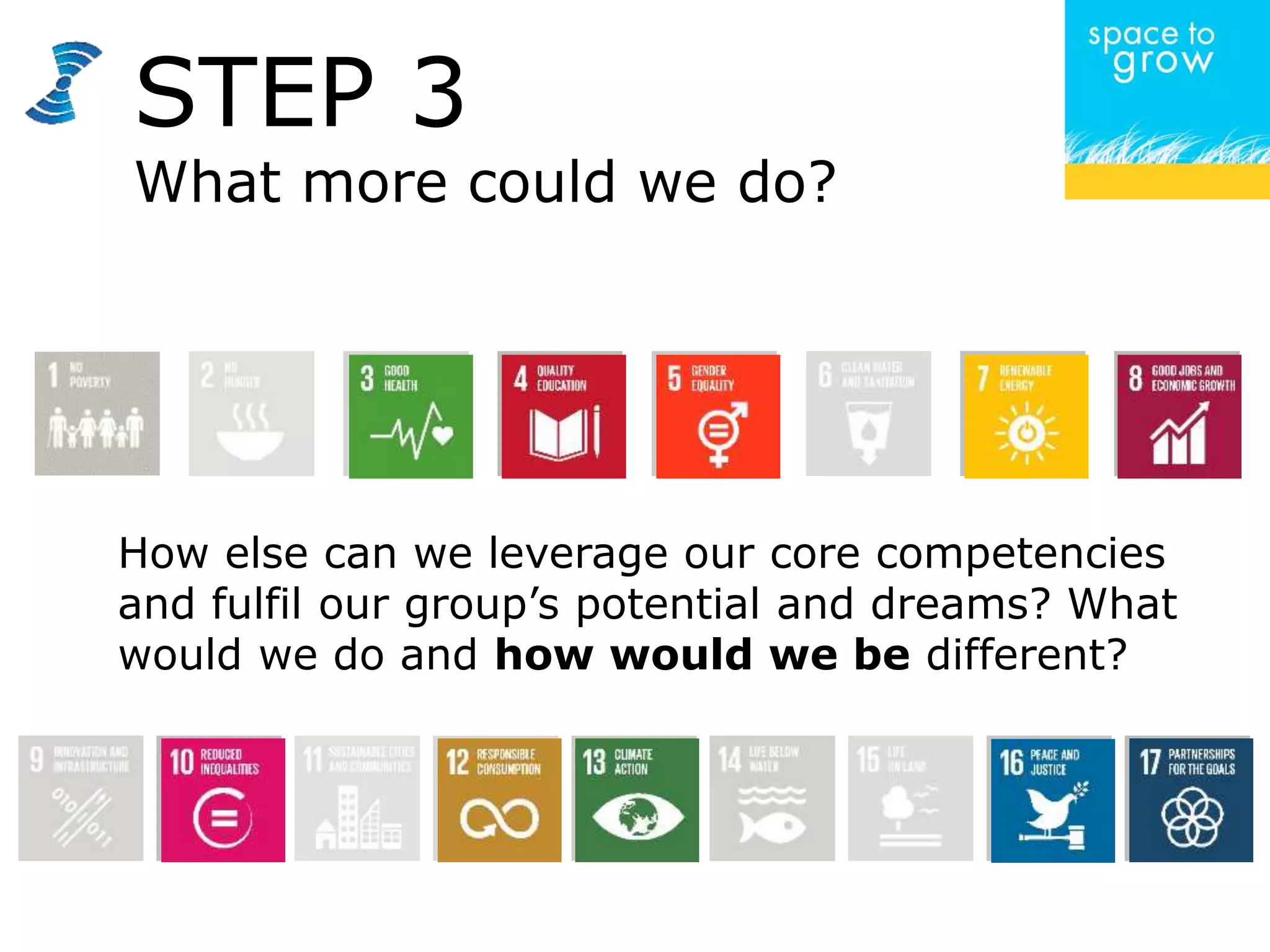 How else can we leverage our core competencies
and fulfil our group’s potential and dreams? What
would we do and how would we be different?
STEP 3
What more could we do?
 