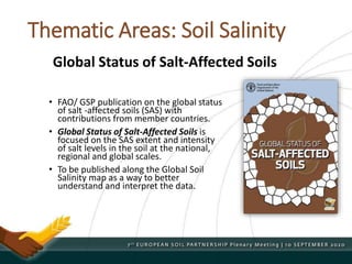 Thematic Areas: Soil Salinity
• FAO/ GSP publication on the global status
of salt -affected soils (SAS) with
contributions from member countries.
• Global Status of Salt-Affected Soils is
focused on the SAS extent and intensity
of salt levels in the soil at the national,
regional and global scales.
• To be published along the Global Soil
Salinity map as a way to better
understand and interpret the data.
Global Status of Salt-Affected Soils
 