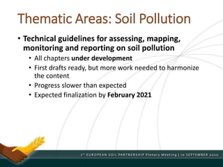 Thematic Areas: Soil Pollution
• Technical guidelines for assessing, mapping,
monitoring and reporting on soil pollution
• All chapters under development
• First drafts ready, but more work needed to harmonize
the content
• Progress slower than expected
• Expected finalization by February 2021
 