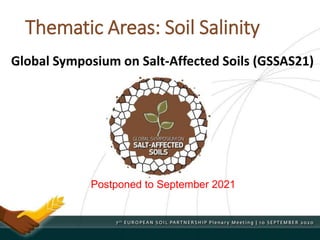 Thematic Areas: Soil Salinity
Global Symposium on Salt-Affected Soils (GSSAS21)
Postponed to September 2021
 
