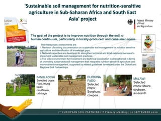 'Sustainable soil management for nutrition-sensitive
agriculture in Sub-Saharan Africa and South East
Asia' project
The three project components are:
1.Revision of existing documentation on sustainable soil management for nutrition sensitive
agriculture and identification of knowledge gaps;
2.National capacities are developed to strengthen technical and local extension services to
implement sustainable soil management practices;
3.The policy environment for investment and technical cooperation is strengthened in terms
of promoting sustainable soil management that integrates nutrition-sensitive agriculture and
micronutrient management, supported by related guidelines developed under the Global and
Regional Soil Partnerships.
The goal of the project is to improve nutrition through the soil, crop, and
human continuum, particularly in locally-produced and consumed foods.
BANGLADESH
Selected crops:
Rice, mung
bean
cauliflower,
cabbage
BURKINA
FASO
Selected
crops:
Sorghum,
cowpea
MALAWI
Selected
crops: Maize,
soybean,
amaranth
 