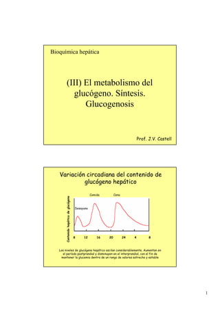 Bioquímica hepática




            (III) El metabolismo del
               glucógeno. Síntesis.
                  Glucogenosis


                                                                                  Prof. J.V. Castell




   Variación circadiana del contenido de
            glucógeno hepático

                                                    Comida        Cena
       Contenido hepático de glucógeno




                                         Desayuno




                                         8    12        16   20          24   4         8



   Los niveles de glucógeno hepático oscilan considerablemente. Aumentan en
     el período postprandial y disminuyen en el interprandial, con el fin de
    mantener la glucemia dentro de un rango de valores estrecho y estable




                                                                                                       1
 