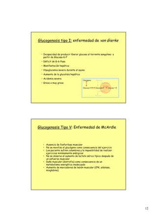 12
Glucogenosis tipo I: enfermedad de von Gierke
• Incapacidad de producir liberar glucosa al torrente sanguíneo a
partir de Glucosa-6-P
• Déficit de G-6-Pasa
• Manifestación hepática
• Hipoglucemia severa durante el ayuno
• Aumento de la glucolisis hepática
• Acidemia severa
• Grave a muy grave
Glucógeno Glucosa
Glucokinasa
G
G-
-6
6-
-Pasa
Pasa
Glucosa-1-P Glucosa
-6-P Glucosa + Pi
Glicolisis
Piruvato
Glucógeno Glucosa
Glucokinasa
G
G-
-6
6-
-Pasa
Pasa
Glucosa-1-P Glucosa
-6-P Glucosa + Pi
Glicolisis
Piruvato
• Ausencia de fosforilasa muscular
• No se moviliza el glucógeno como consecuencia del ejercicio
• Los paciente sufren calambres y la imposibilidad de realizar
ejercicios minimamente enérgicos
• No se observa el aumento de lactato sérico típico después de
un esfuerzo muscular
• Daño muscular (distrofia) como consecuencia de un
metabolismo energético inadecuado
• Aumento de marcadores de lesión muscular (CPK, aldolasa,
mioglobina).
Glucogenosis Tipo V: Enfermedad de McArdle
 