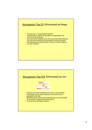 14
• Ausencia de α−1-4 glucosidasa lisosomal
• Acumulación de rosetas de glucógeno no degradadas en el
interior de los lisosomas
• Las alteraciones metabólicas no son muy pronunciadas dado que
las otras vías metabólicas del glucógeno no están afectadas
• Cardiomegalia que puede producir la muerte a edad temprana
por fallo cardíaco
Glucogenosis Tipo II: Enfermedad de Pompe
• Ausencia del enzima desramificante amilo α 1-6 glicosidasa
• El glucógeno solo se puede degradar parcialmente por la
glucógeno fosforilasa
• Manifestaciones clínicas más moderadas que en la enfermedad
de von Gierke. Hipoglucemia menos severa
• Acumulación de glucógeno hepático
Glucogenosis Tipo III: Enfermedad de Cori
 