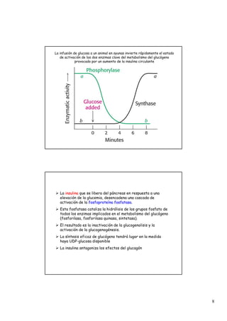 8
La infusión de glucosa a un animal en ayunas invierte rápidamente el estado
de activación de los dos enzimas clave del metabolismo del glucógeno
provocado por un aumento de la insulina circulante
¾ La insulina
insulina que se libera del páncreas en respuesta a una
elevación de la glucemia, desencadena una cascada de
activación de la fosfoprote
fosfoproteí
ína
na fosfatasa
fosfatasa.
¾ Esta fosfatasa cataliza la hidrólisis de los grupos fosfato de
todos los enzimas implicados en el metabolismo del glucógeno
(fosforilasa, fosforilasa quinasa, sintetasa).
¾ El resultado es la inactivación de la glucogenolisis y la
activación de la glucogenogénesis.
¾ La síntesis eficaz de glucógeno tendrá lugar en la medida
haya UDP-glucosa disponible
¾ La insulina antagoniza los efectos del glucagón
 