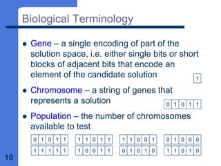 10
Biological Terminology
z Gene – a single encoding of part of the
solution space, i.e. either single bits or short
blocks of adjacent bits that encode an
element of the candidate solution
z Chromosome – a string of genes that
represents a solution
z Population – the number of chromosomes
available to test
1
0 1 0 1 1
0 1 0 1 1
1 1 1 1 1
1 1 0 1 1
1 0 0 1 1
1 1 0 0 1
0 1 0 1 0 1 1 0 1 0
0 1 0 0 0
 