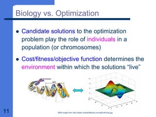 11
Biology vs. Optimization
z Candidate solutions to the optimization
problem play the role of individuals in a
population (or chromosomes)
z Cost/fitness/objective function determines the
environment within which the solutions “live”
DNA image from http://static.howstuffworks.com/gif/cell-dna.jpg
 