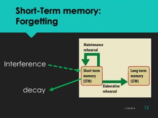 Information processing model | PPTX