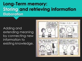 Information processing model | PPTX