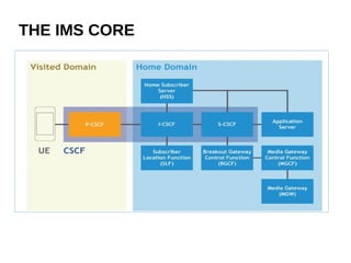 THE IMS CORE
 